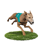 好贏娛樂城詐騙娛樂城白金賽狗 好贏娛樂城詐騙娛樂城白金賽狗